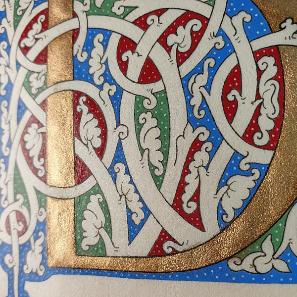 Lettre D enluminée style Renaissance avec motifs vigne blanche.